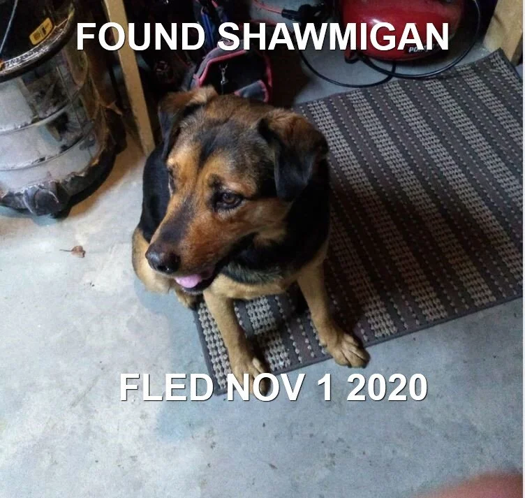 HAPPY ENDINGS - SHAWIGAN LAKE BC - OCT 31, 2020