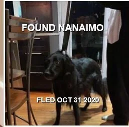 HAPPY ENDINGS - NANAIMO BC - OCT 31, 2020