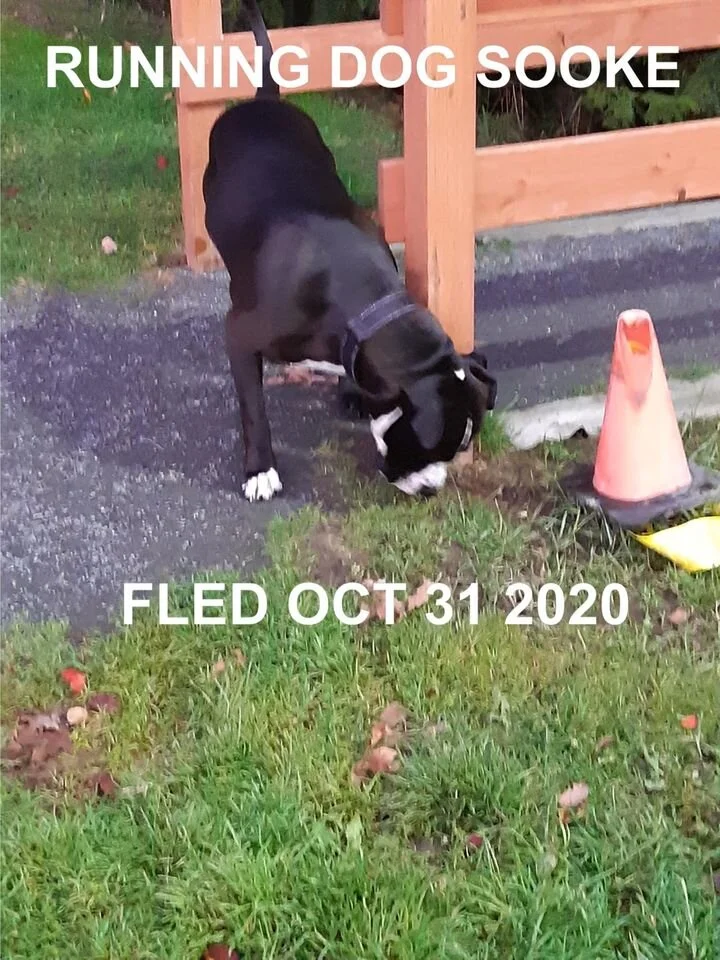 UNRESOLVED - SOOKE BC - OCT 31, 2020