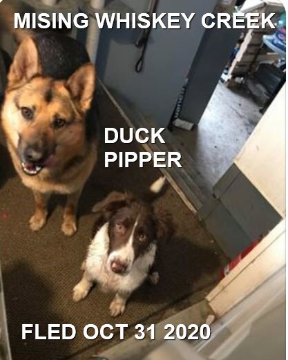 HAPPY ENDINGS - WHISKEY CREEK BC - OCT 31, 2020