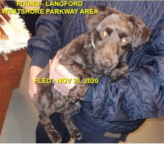 HAPPY ENDINGS - LANGFORD BC - NOV 23, 2020