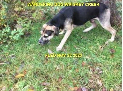 UNRESOLVED - WHISKEY CREEK BC - NOV 22, 2020