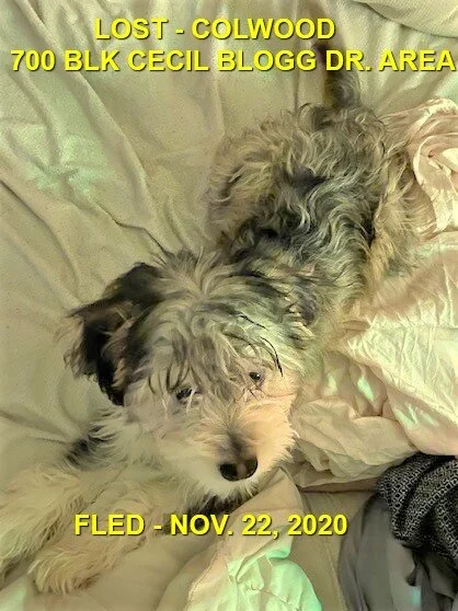 HAPPY ENDINGS - COLWOOD BC - NOV 22, 2020