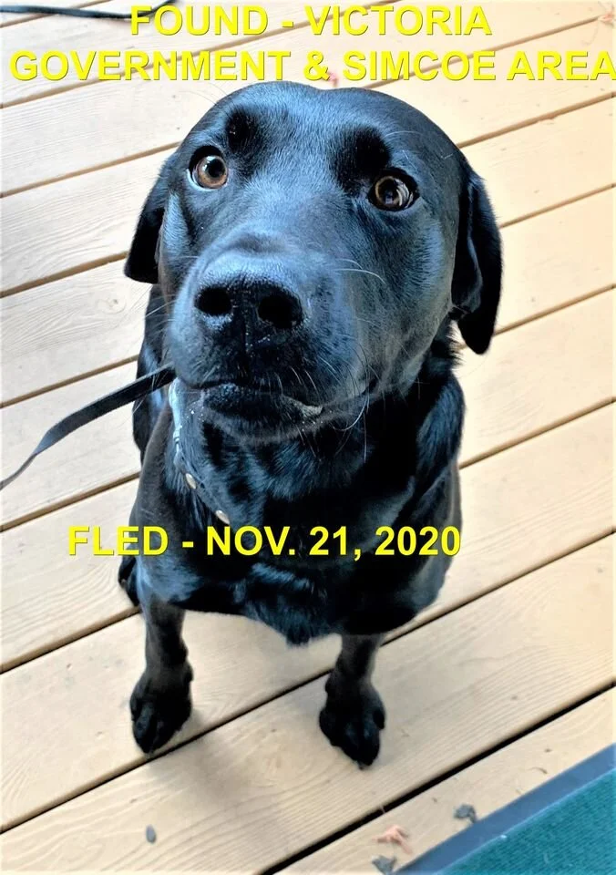 HAPPY ENDINGS - VICTORIA BC - NOV 21, 2020