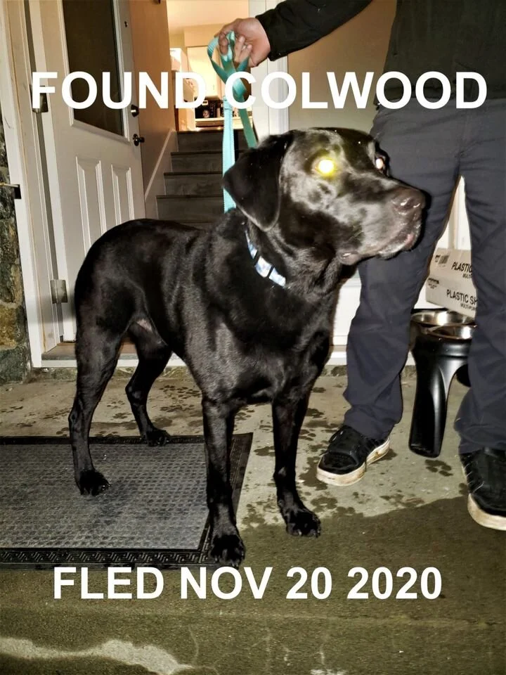 HAPPY ENDINGS - COLWOOD BC - NOV 20, 2020