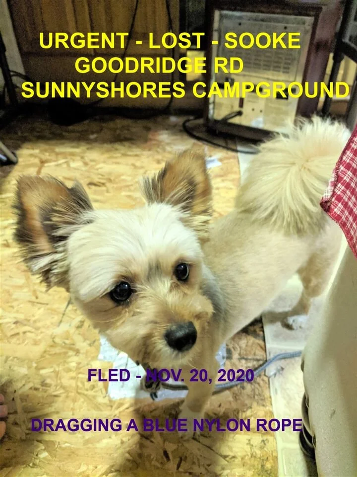 HAPPY ENDINGS - SOOKE BC - NOV. 20, 2020