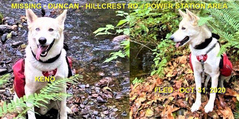 HAPPY ENDINGS - DUNCAN BC - OCT. 31, 2020