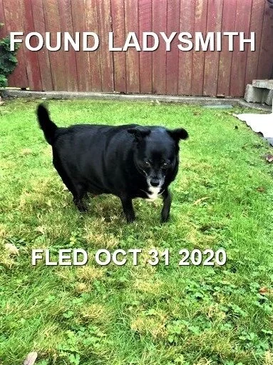 HAPPY ENDINGS - LADYSMITH BC - OCT. 31, 2020