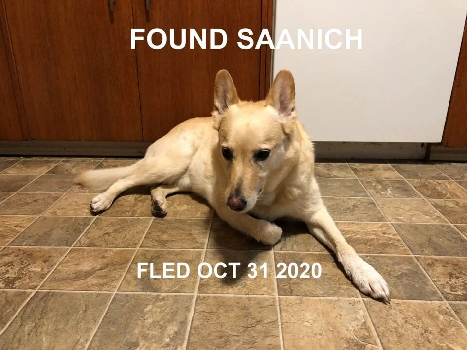 HAPPY ENDINGS - SAANICH BC - OCT 30, 2020