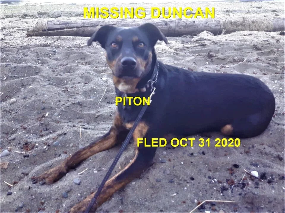 HAPPY ENDINGS - DUNCAN BC - OCT 30, 2020