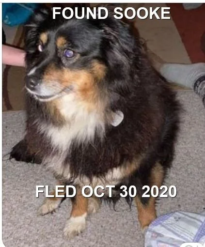 HAPPY ENDINGS - SOOKE BC - OCT 30, 2020