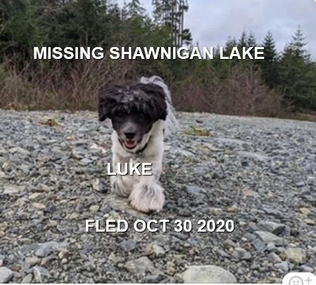 HAPPY ENDINGS - SHAWNIGAN LAKE BC - OCT 30, 2020