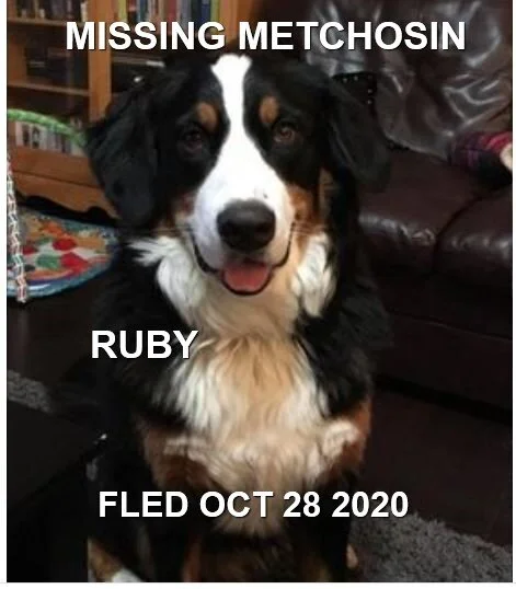 HAPPY ENDINGS - METCHOSIN BC - OCT 28, 2020