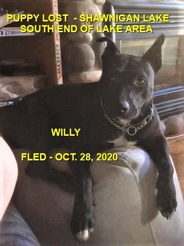 HAPPY ENDINGS - SHAWNIGAN LAKE BC - OCT 28, 2020