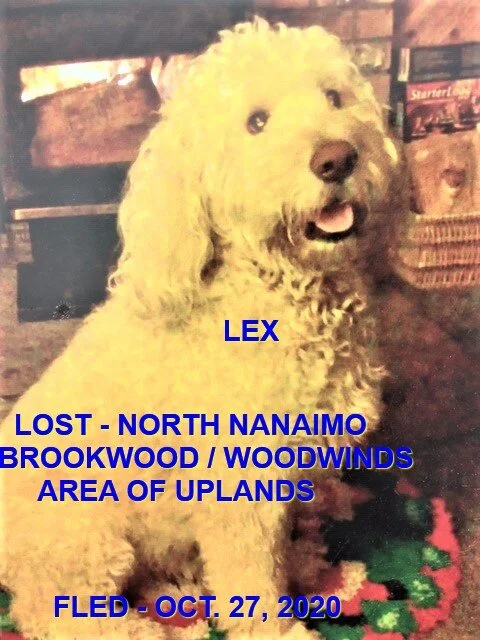 HAPPY ENDINGS - NANAIMO BC - OCT 26, 2020