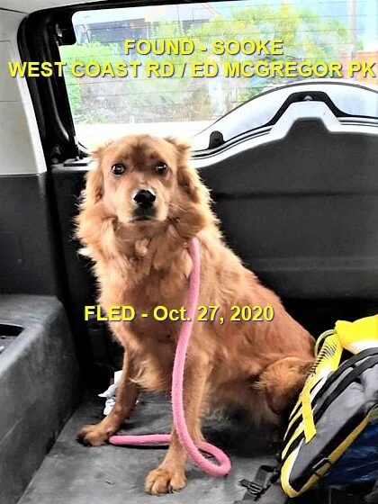 HAPPY ENDINGS - SOOKE BC - OCT 27, 2020