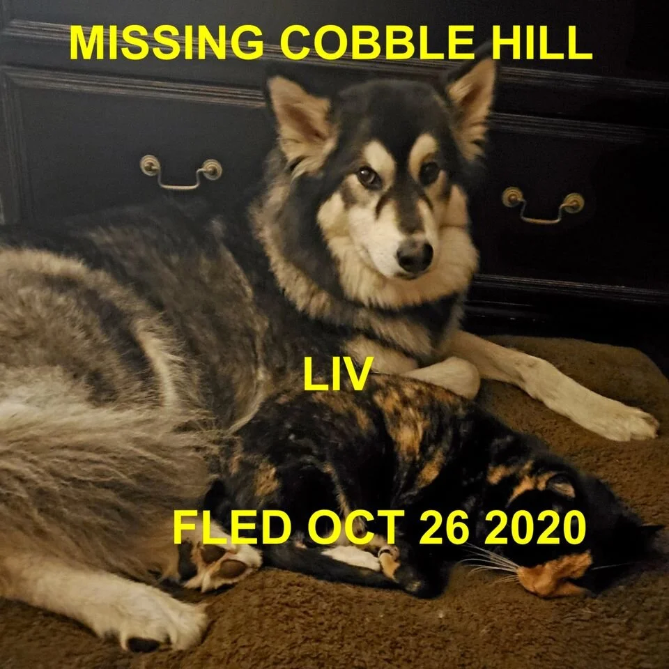 HAPPY ENDINGS - COBBLE HILL BC - OCT 26, 2020