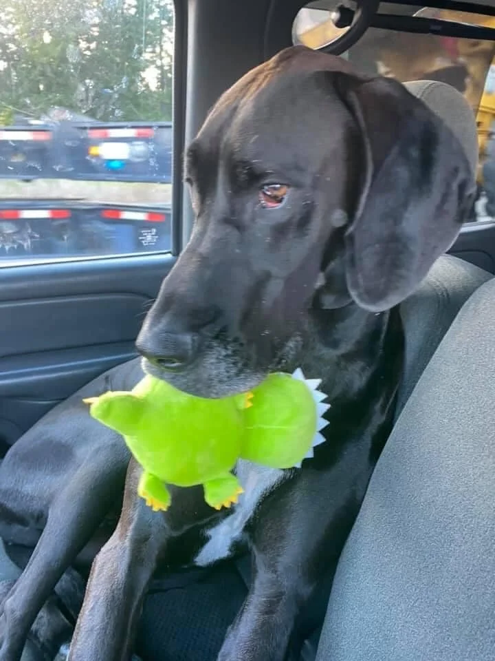 HAPPY ENDINGS - METCHOSIN BC - OCT 26, 2020