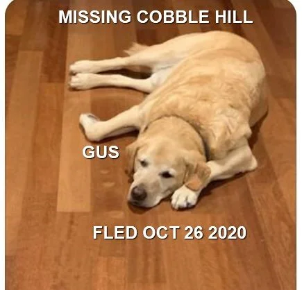 HAPPY ENDINGS - COBBLE HILL BC - OCT 26, 2020