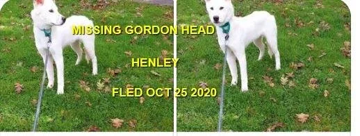 HAPPY ENDINGS - SAANICH BC - OCT 25, 2020