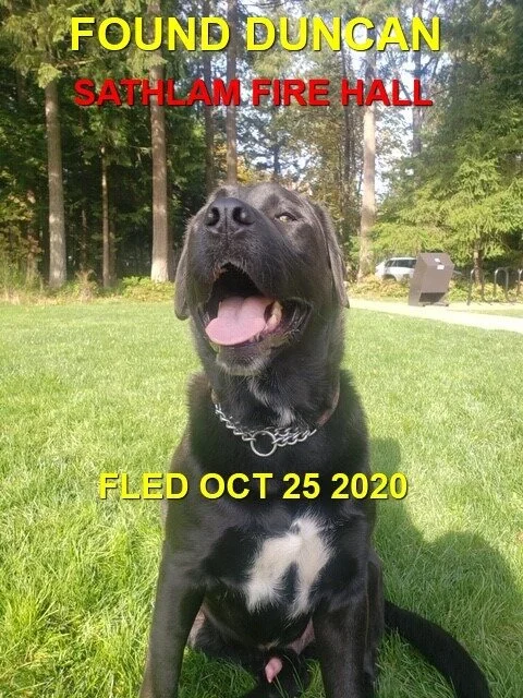 HAPPY ENDINGS - DUNCAN BC - OCT. 25, 2020