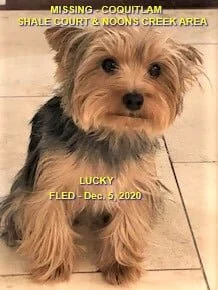 HAPPY ENDINGS - COQUITLAM BC - DEC. 5, 2020