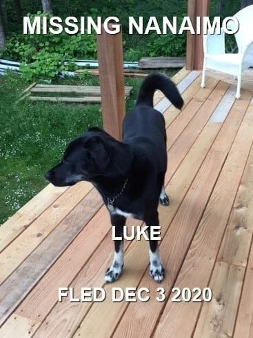 HAPPY ENDINGS - NANAIMO BC - DEC. 1, 2020