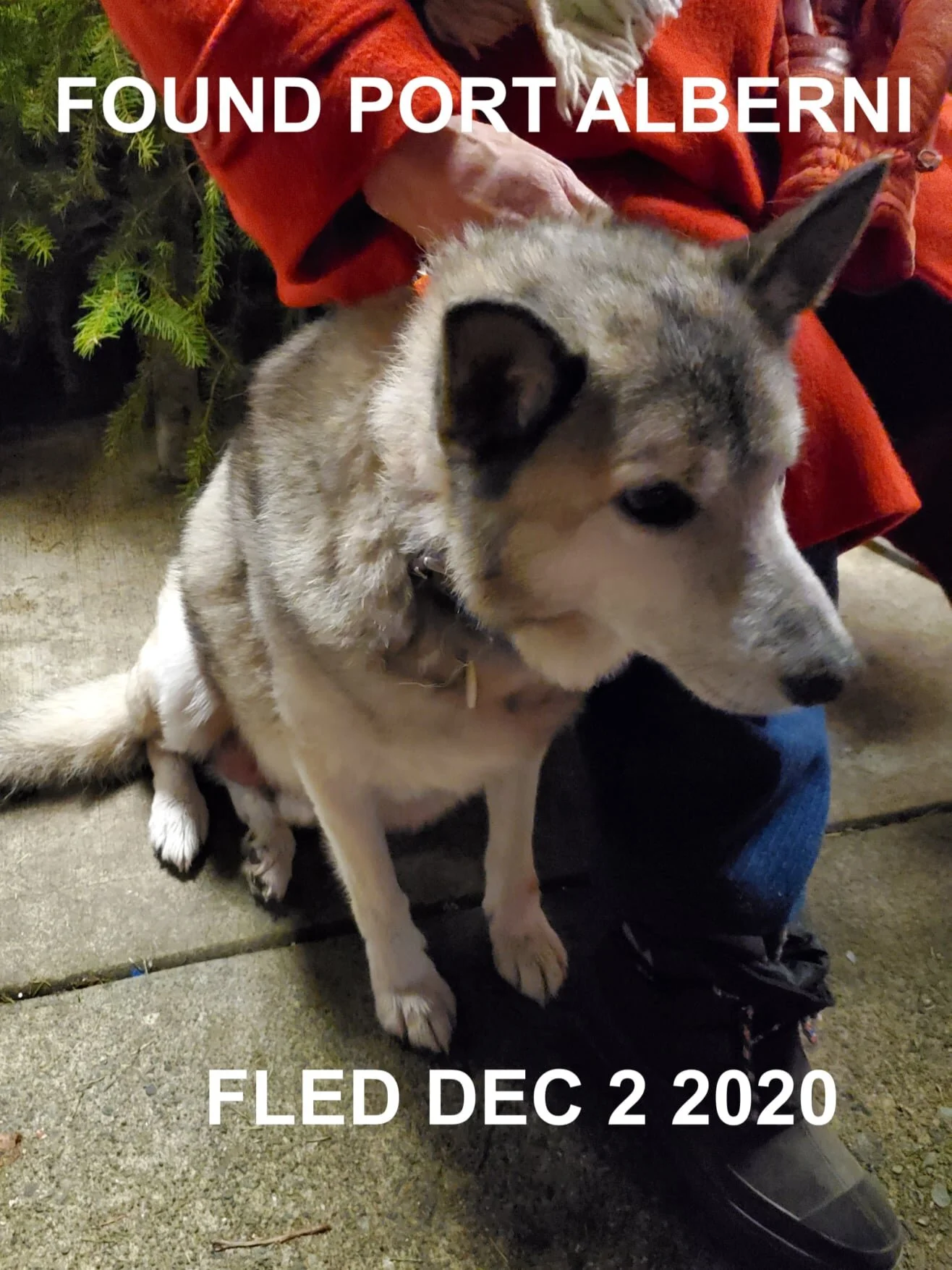 HAPPY ENDINGS - PORT ALBERNI BC - DEC. 2, 2020