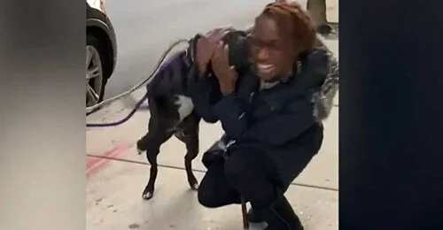 SUCCESS STORIES - NEVER EVER GIVE UP - CHICAGO ILL. USA - DEC 2, 2020