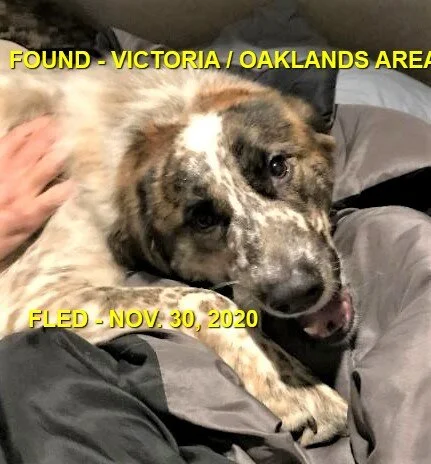 HAPPY ENDINGS - VICTORIA BC - NOV. 30, 2020