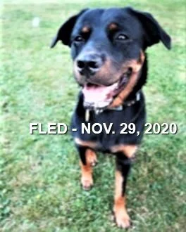 HAPPY ENDINGS - NANAIMO BC - NOV. 29, 2020