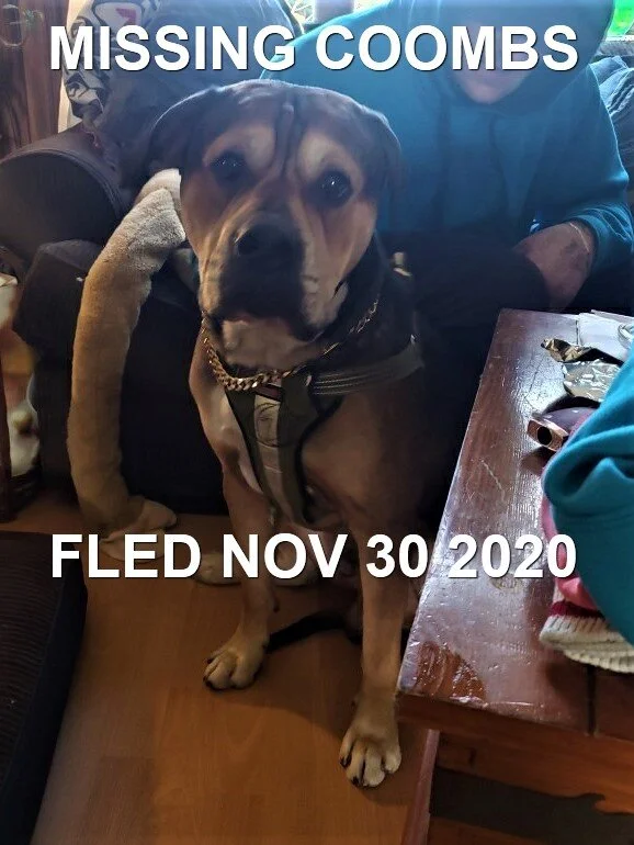 HAPPY ENDINGS - COOMBS BC - NOV. 30, 2020