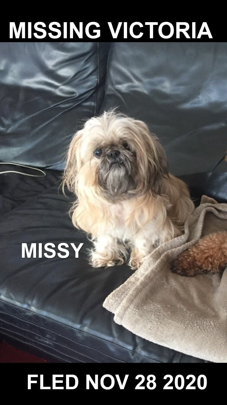 HAPPY ENDINGS - VICTORIA BC - NOV. 28, 2020