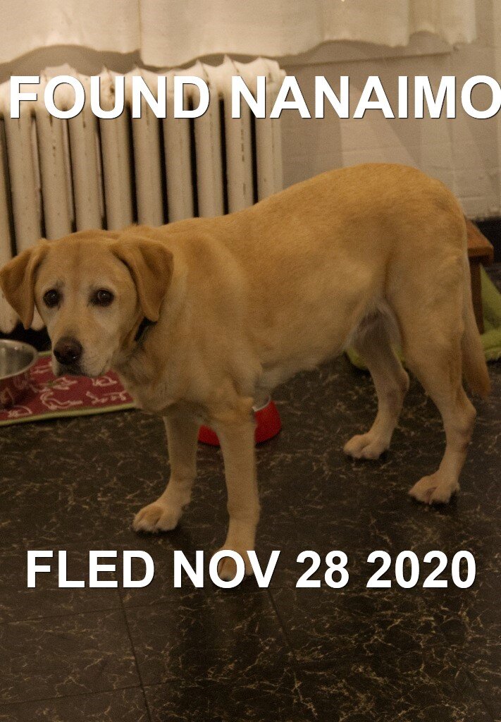 HAPPY ENDINGS - NANAIMO BC - NOV. 27, 2020