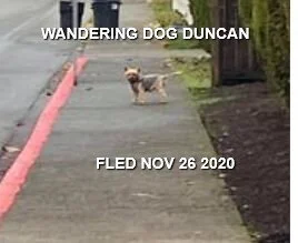 HAPPY ENDINGS - DUNCAN BC - NOV. 26, 2020