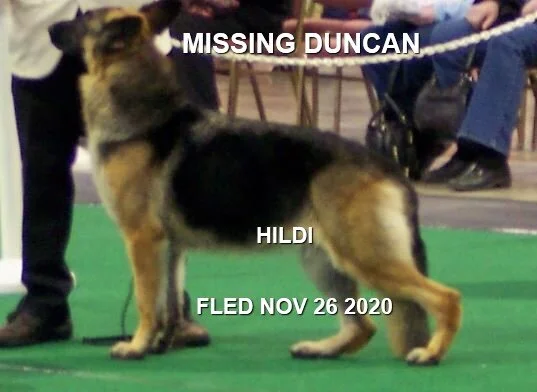 HAPPY ENDINGS - DUNCAN BC - NOV 26, 2020