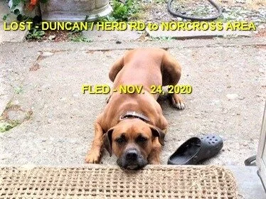 HAPPY ENDINGS - DUNCAN BC - NOV. 24 2020