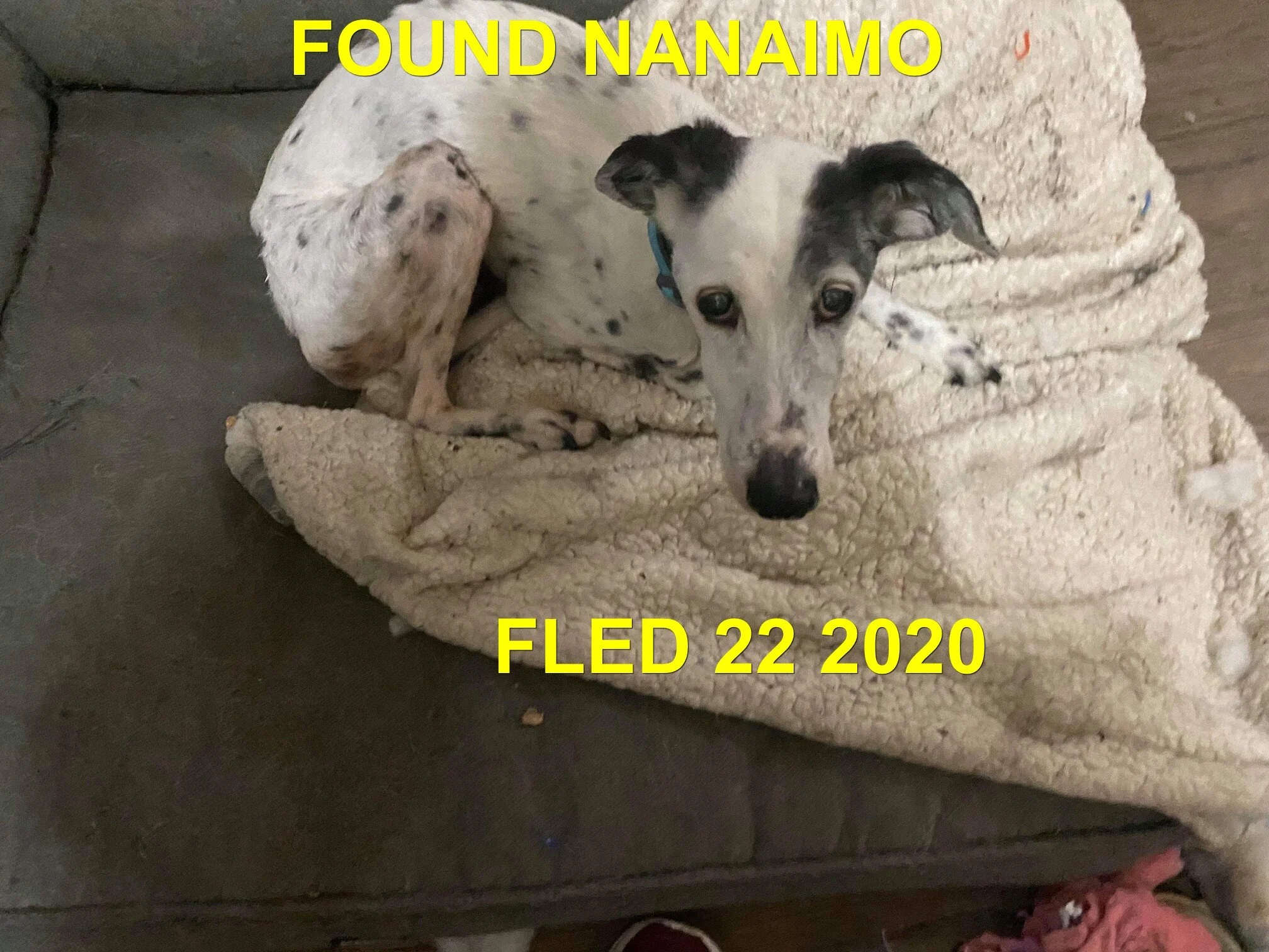 UNRESOLVED - NANAIMO BC - NOV. 22, 2020