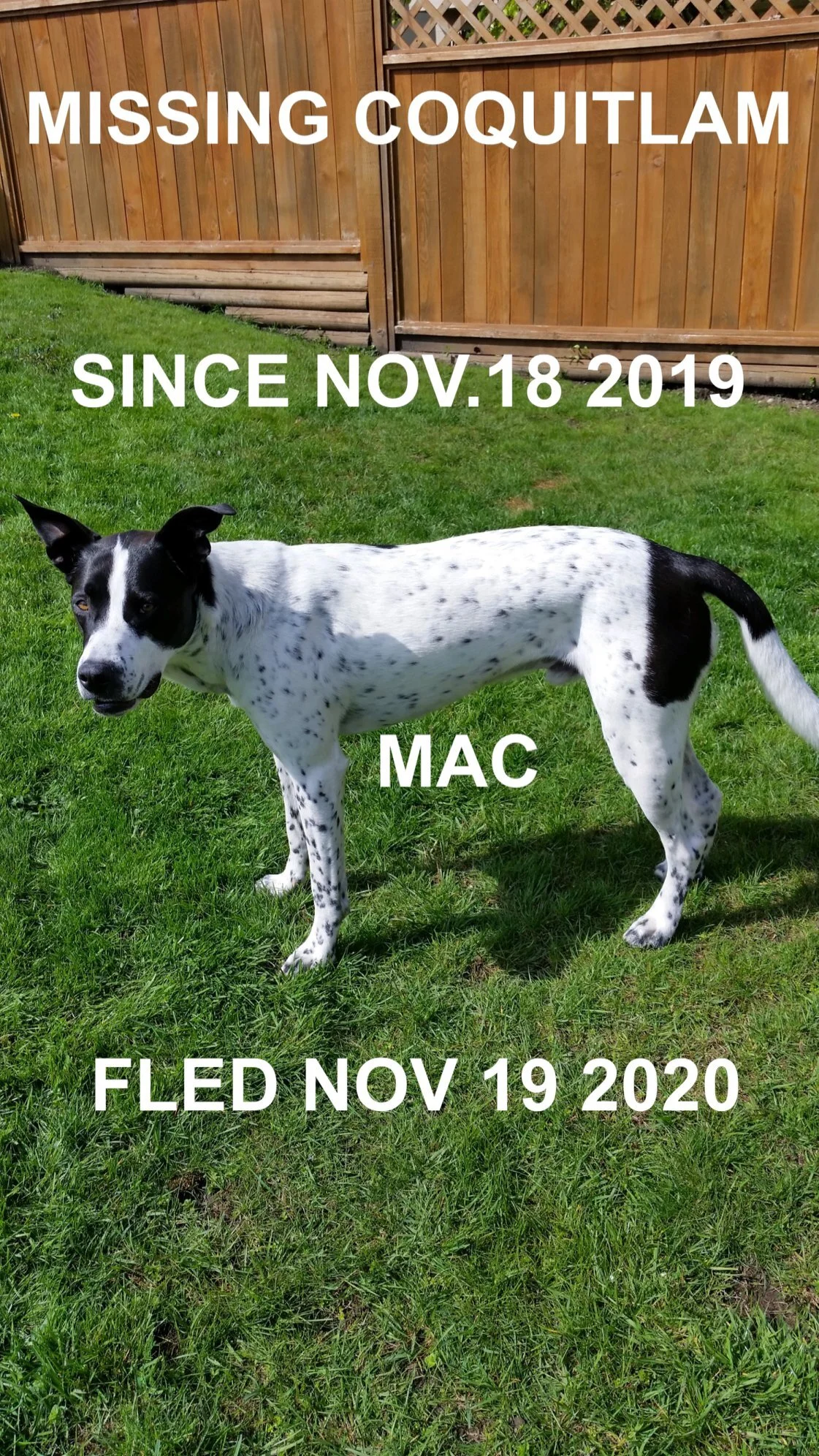 COURTEST POST - HAPPY ENDINGS - COQUITLUM BC - NOV. 18, 2020