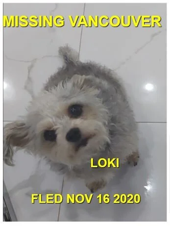 COURTESY POST - HAPPY ENDINGS - VANCOUVER BC - NOV. 16, 2020