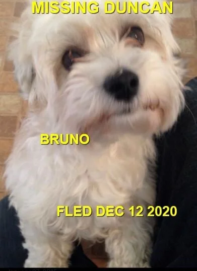 HAPPY ENDINGS - DUNCAN BC - DEC 12, 2020