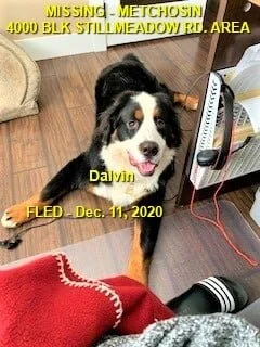 HAPPY ENDINGS - METCHOSIN BC - DEC. 11, 2020