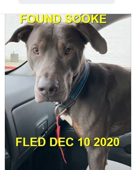 HAPPY ENDINGS - SOOKE BC - DEC. 10, 2020