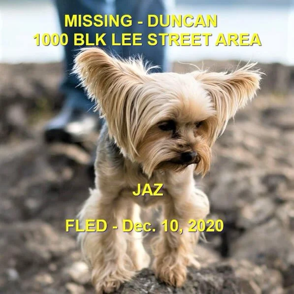 HAPPY ENDINGS - DUNCAN BC - DEC. 10, 2020