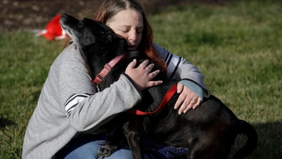 NEVER GIVE UP - 3 YEARS LATER - LOLA WAS FOUND 