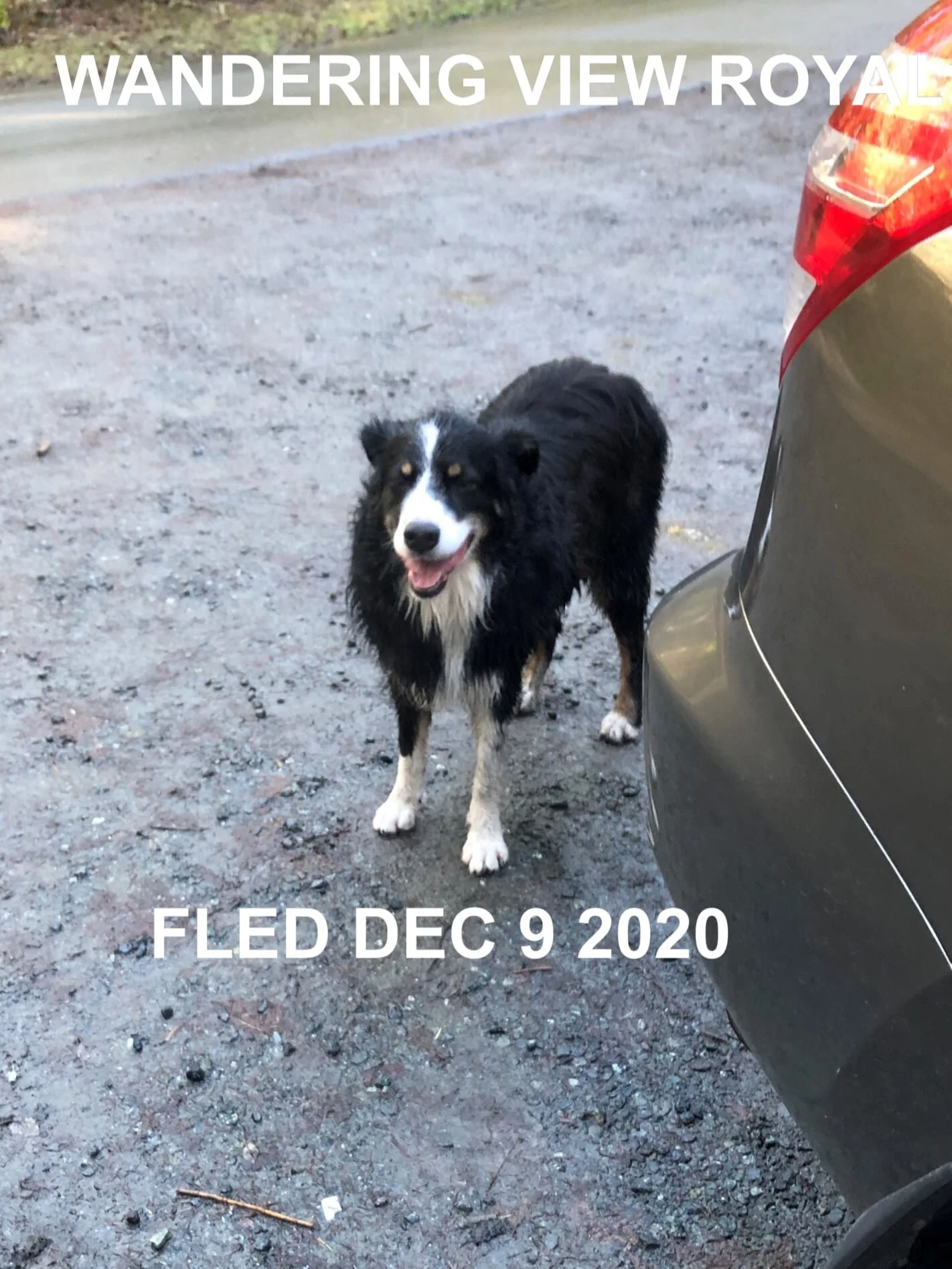 HAPPY ENDINGS - VIEW ROYAL BC. - DEC. 9, 2020