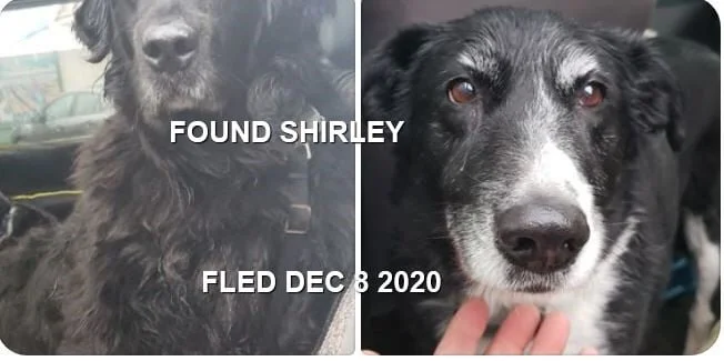 HAPPY ENDINGS - SHIRLEY BC - DEC. 8, 2020