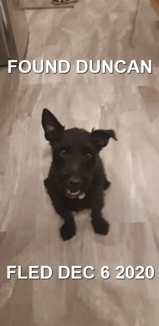 HAPPY ENDINGS - DUNCAN BC - DEC. 6, 2020