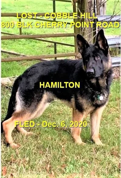 HAPPY ENDINGS - DUNCAN BC - DEC 6, 2020