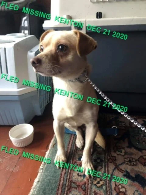 HAPPY ENDINGS - SAANICH BC - DEC. 21, 2020